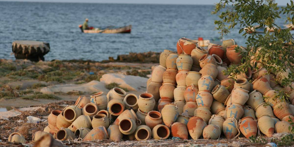 djerba-sidi-jmour_163